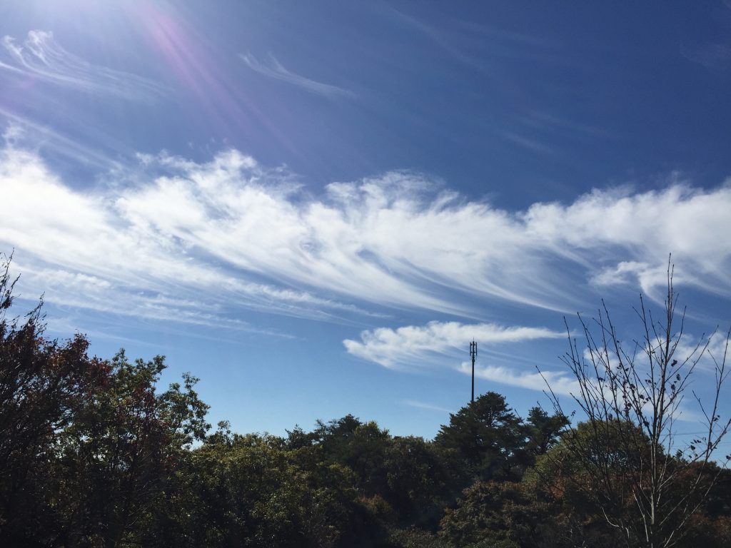 2015-10-26 11.02.29